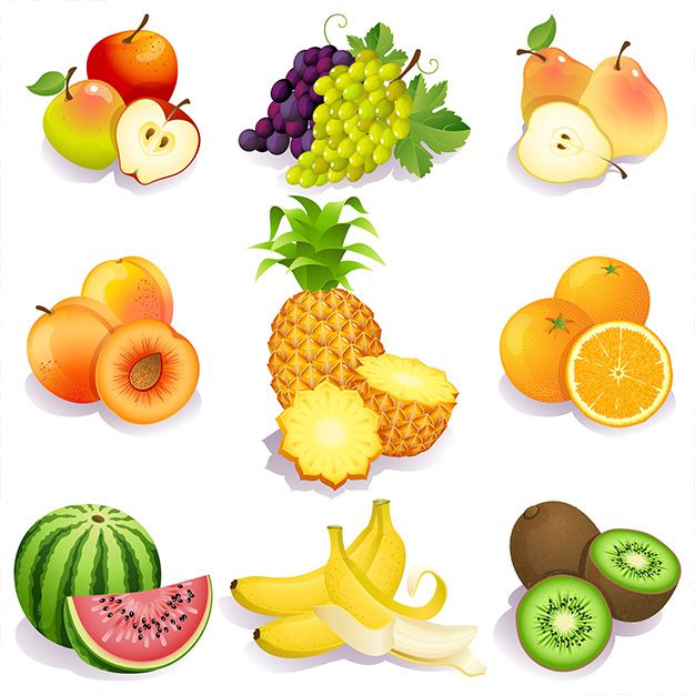 وکتور میوه fruit vector