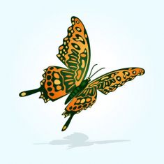 وکتور پروانه در حال پروازbutterfly flying vector