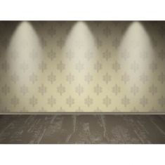 وکتور سن نمایش realistic empty wall spotlight design