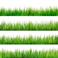 وکتور چمنrealistic grass borders design vector