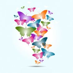 وکتور پروانه های رنگارنگ colorful butterflies vector design