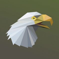 وکتور سر عقاب eagle head vector