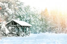 تصویر کلبه چوبی در برف