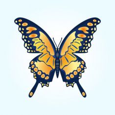 وکتور پروانه butterfly vector illustration