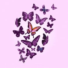 مجموعه وکتور پروانه به رنگ بنفش butterflies vector pink background 
