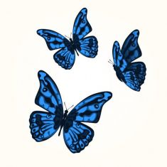 مجموعه وکتورپروانه های رنگارنگ blue butterflies vector set 
