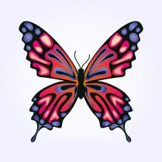 وکتور پروانه free vector butterfly design