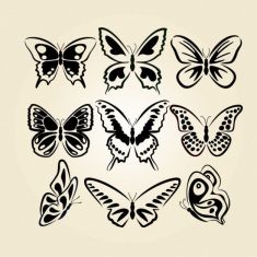 وکتور پروانه و تعدادی از آنها butterflies line art set 