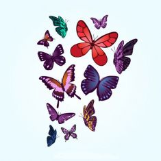 مجموعه وکتور پروانه های رنگی butterflies free vector art