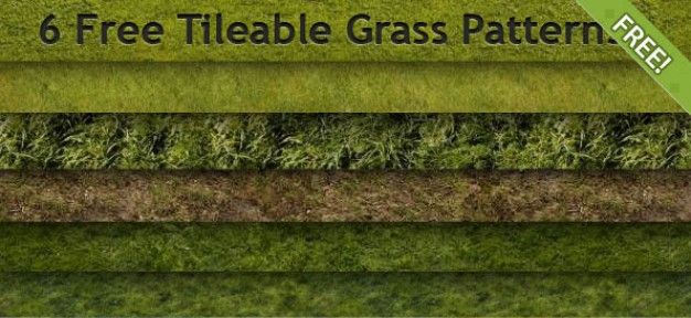 6 نوع پترن چمن 6 free tileable grass patterns