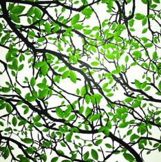 وکتور شاخ و برگ درختrealistic tree leaf vector