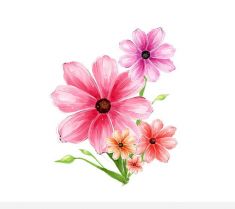 تصویر لایه باز گل نقاشی شده hand drawn flower pink psd graphic