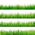 وکتور چمنrealistic grass borders design vector